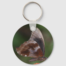 赤い花に白と茶色の蝶