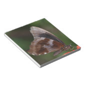 赤い花に白と茶色の蝶 ノートパッド (アングル)