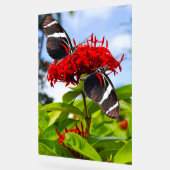 赤い花に蝶の葉を伸ばすシマウマ アクリルサイン (傾斜)