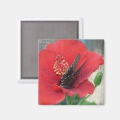 赤い花に蝶を付けた四角い磁石 マグネット (正面/裏面)
