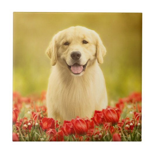 赤い花に金の引退役者 タイル (正面)