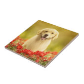 赤い花に金の引退役者 タイル (側面)