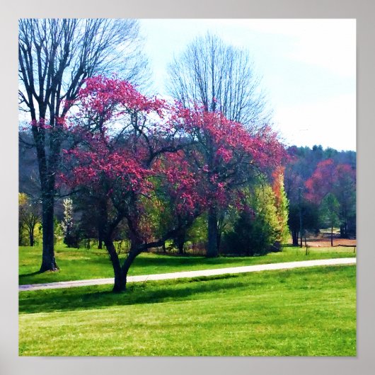 赤い花のクラッペルのポスター ポスター (正面)