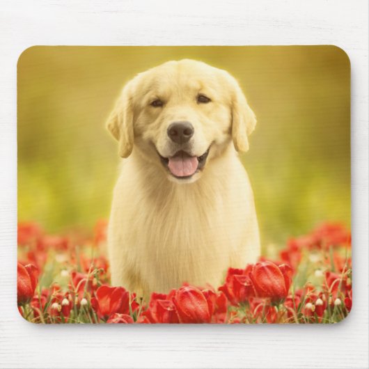 赤い花のゴールデンリタイバー マウスパッド (正面)