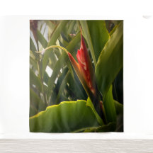 赤い花のトロピカルな自然のグリーン植物