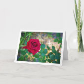 赤い花のバラの肖像 カード (正面)