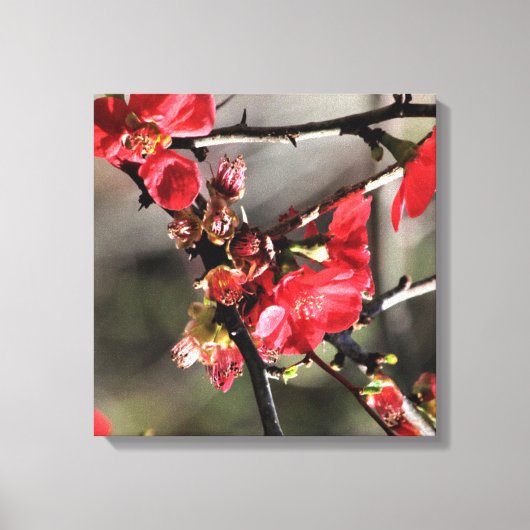 赤い花のフローラキャンバス印刷 キャンバスプリント (正面)