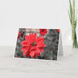 赤い花の上にハチを描いたグリーティングカード カード