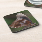 赤い花の上の白と茶色の蝶 コースター (左側)