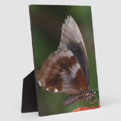 赤い花の上の白と茶色の蝶 フォトプラーク (側面)