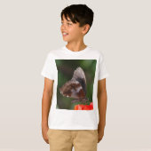 赤い花の上の白と茶色の蝶 Tシャツ (正面フル)