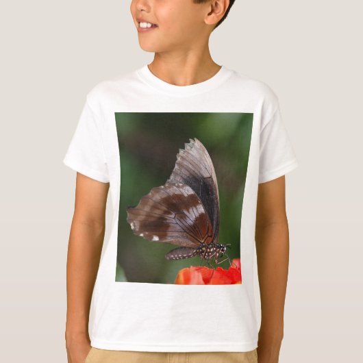 赤い花の上の白と茶色の蝶 Tシャツ (正面)