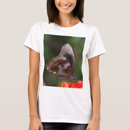 赤い花の上の白と茶色の蝶 Tシャツ (正面)