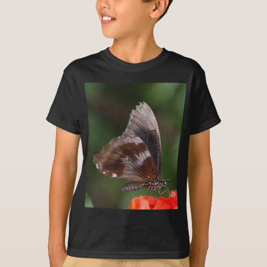 赤い花の上の白と茶色の蝶 Tシャツ (正面)