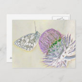 赤い花の上の蝶 ポストカード (正面/裏面)