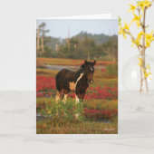 赤い花の中に立つチンコテーグのキツネ カード (黄色い花)