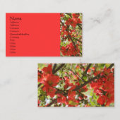 赤い花の写真撮影名刺 名刺 (正面/裏面)