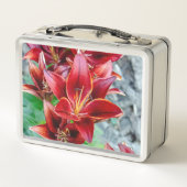 赤い花の写真Stargazer Lily メタルランチボックス (裏面)