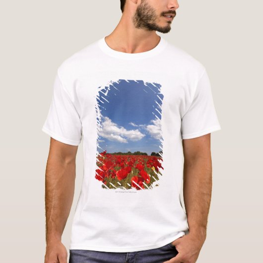 赤い花の十分の分野 Tシャツ (正面)