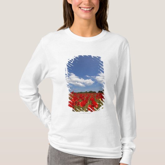 赤い花の十分の分野 Tシャツ (正面)
