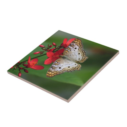 赤い花の白い蝶 タイル (側面)