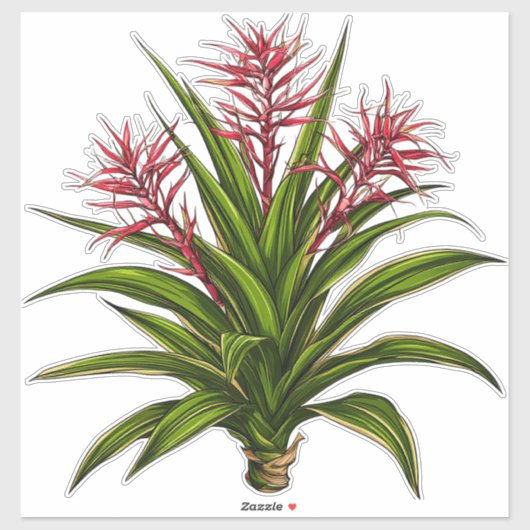 赤い花の穂のあるブロメリアの植物 シール (シート)