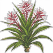 赤い花の穂のあるブロメリアの植物 シール (正面)