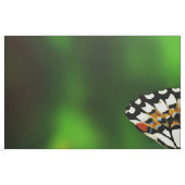 赤い花の美しい蝶 ファブリック (ファットクウォーター)