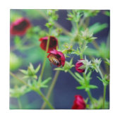 赤い花の蜜蜂 タイル (正面)