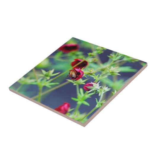 赤い花の蜜蜂 タイル (側面)