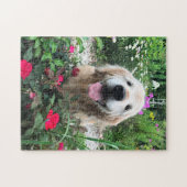 赤い花の間に微笑むゴールデンレトリバー犬 ジグソーパズル (横)