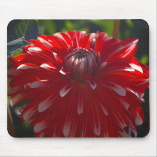 赤い花のmousepad マウスパッド