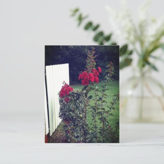 赤い花はがき ポストカード (スタンド正面)