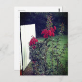 赤い花はがき ポストカード (正面/裏面)