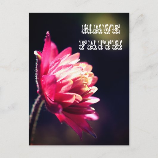 赤い花は信仰を持感動的つ ポストカード (正面)