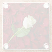 赤い花びらの白いバラ ガラスコースター (裏面)