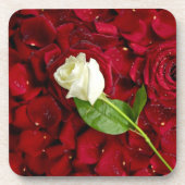 赤い花びらの白いバラ コースター (正面)