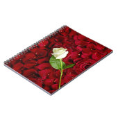 赤い花びらの白いバラ ノートブック (左側)