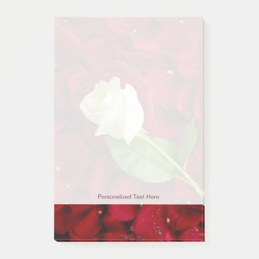 赤い花びらの白いバラ ポストイット (正面)