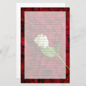 赤い花びらの白いバラ 便箋 (正面/裏面)