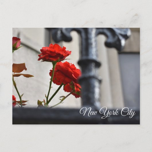 赤い花を鍛造した鉄ニューヨーク市写真 ポストカード (正面)