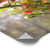 赤い花クインズ春花 ポスター (角)