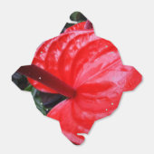 赤い花取り特典ボックス フェイバーボックス (折り畳みなし)