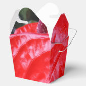 赤い花取り特典ボックス フェイバーボックス (オープン)