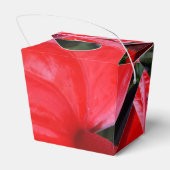 赤い花取り特典ボックス フェイバーボックス (裏面サイド)