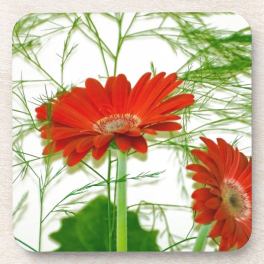 赤い花柄 コースター (正面)