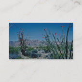 赤い花盛りのOcotilloの花 名刺 (裏面)