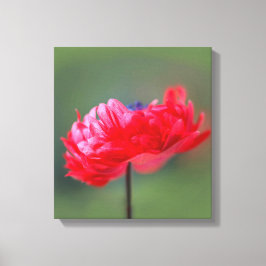 赤い花絵画の効果がクローズアップ キャンバスプリント