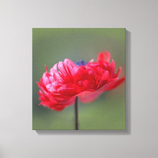 赤い花絵画の効果がクローズアップ キャンバスプリント (正面)