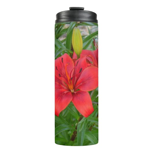 赤い花 タンブラー (正面)